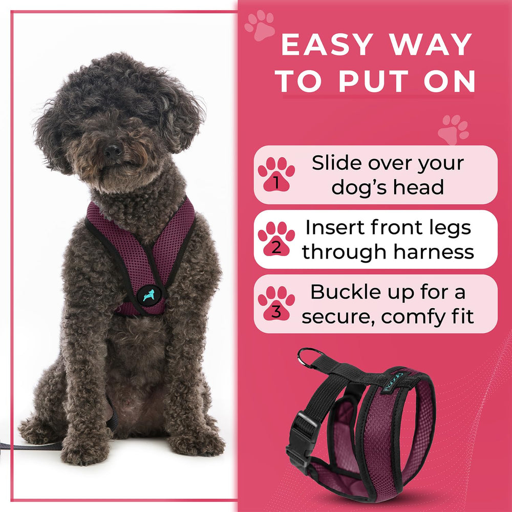 Purple Gooby Comfort X Harness worn on a dog demonstrates no-pull design.