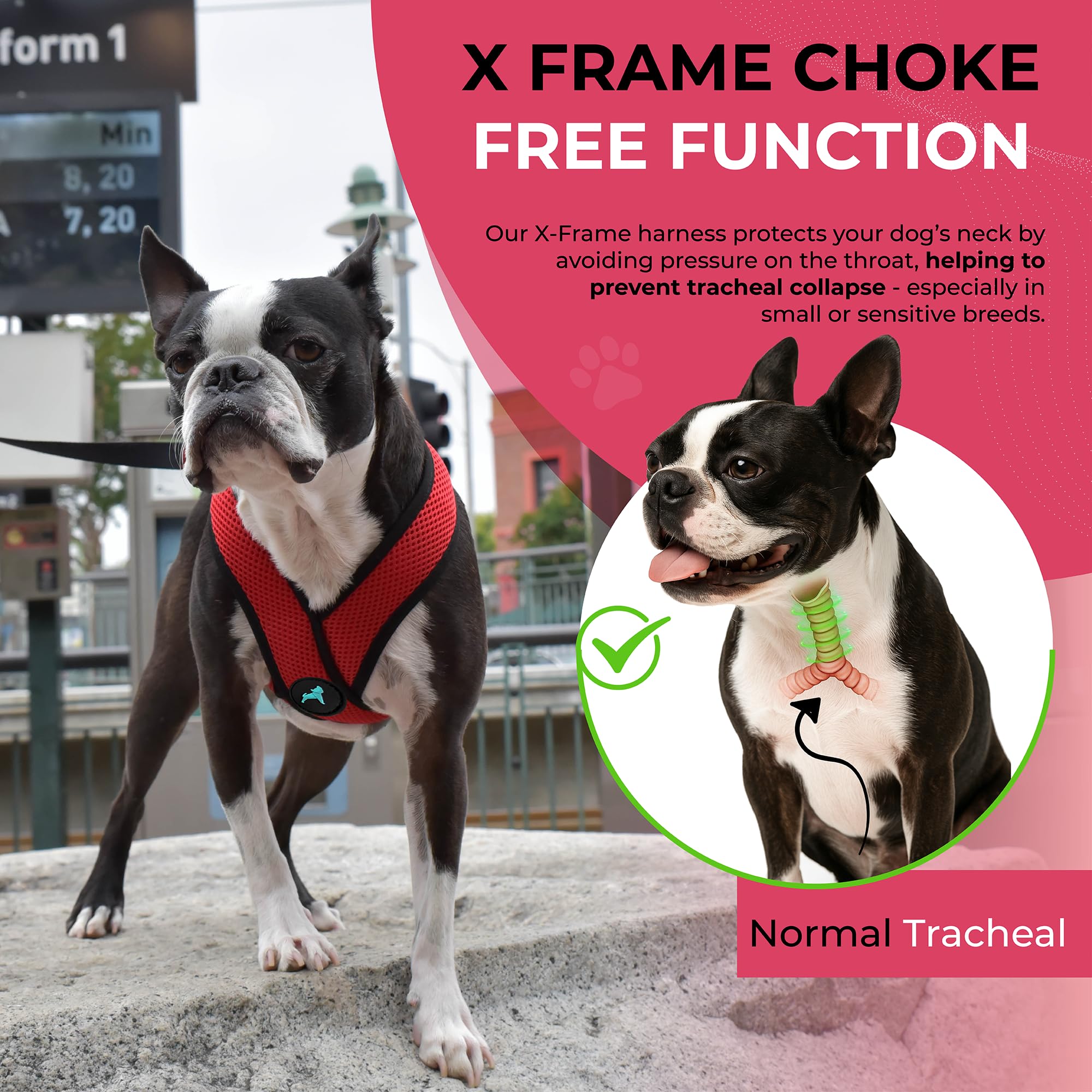 Gooby Comfort X Harness red on dog shows easy-care cleaning.