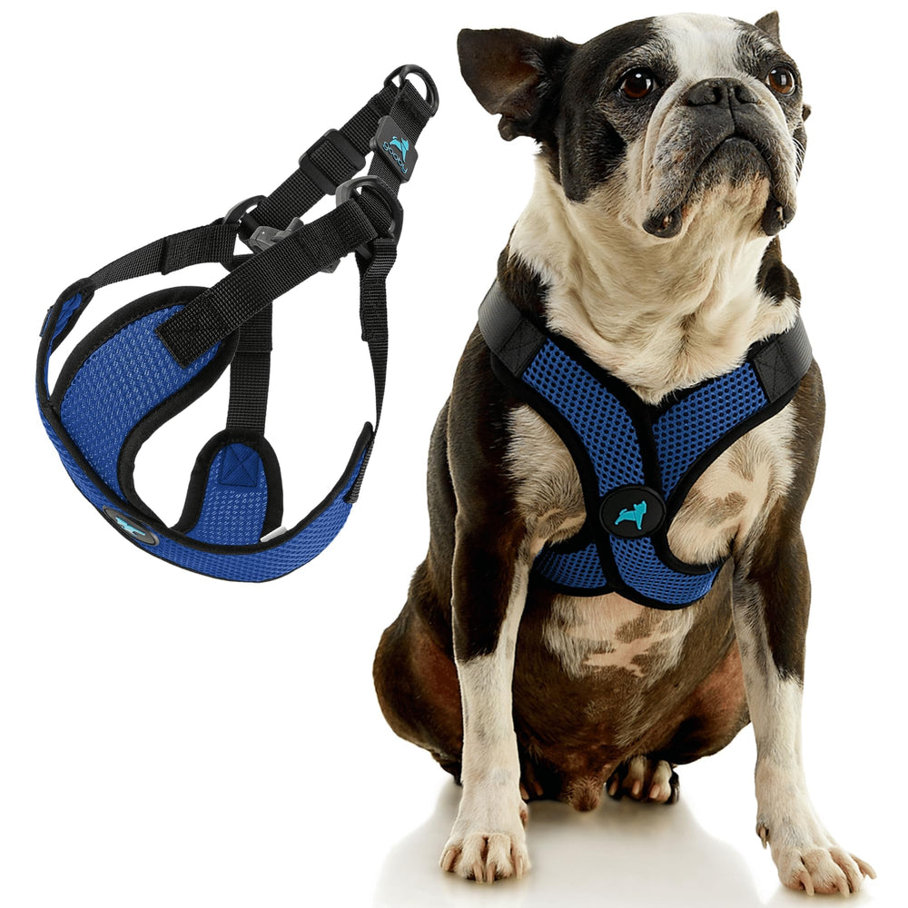 Gooby Comfort X Step in Lite Harness choke-free design protects delicate throats.