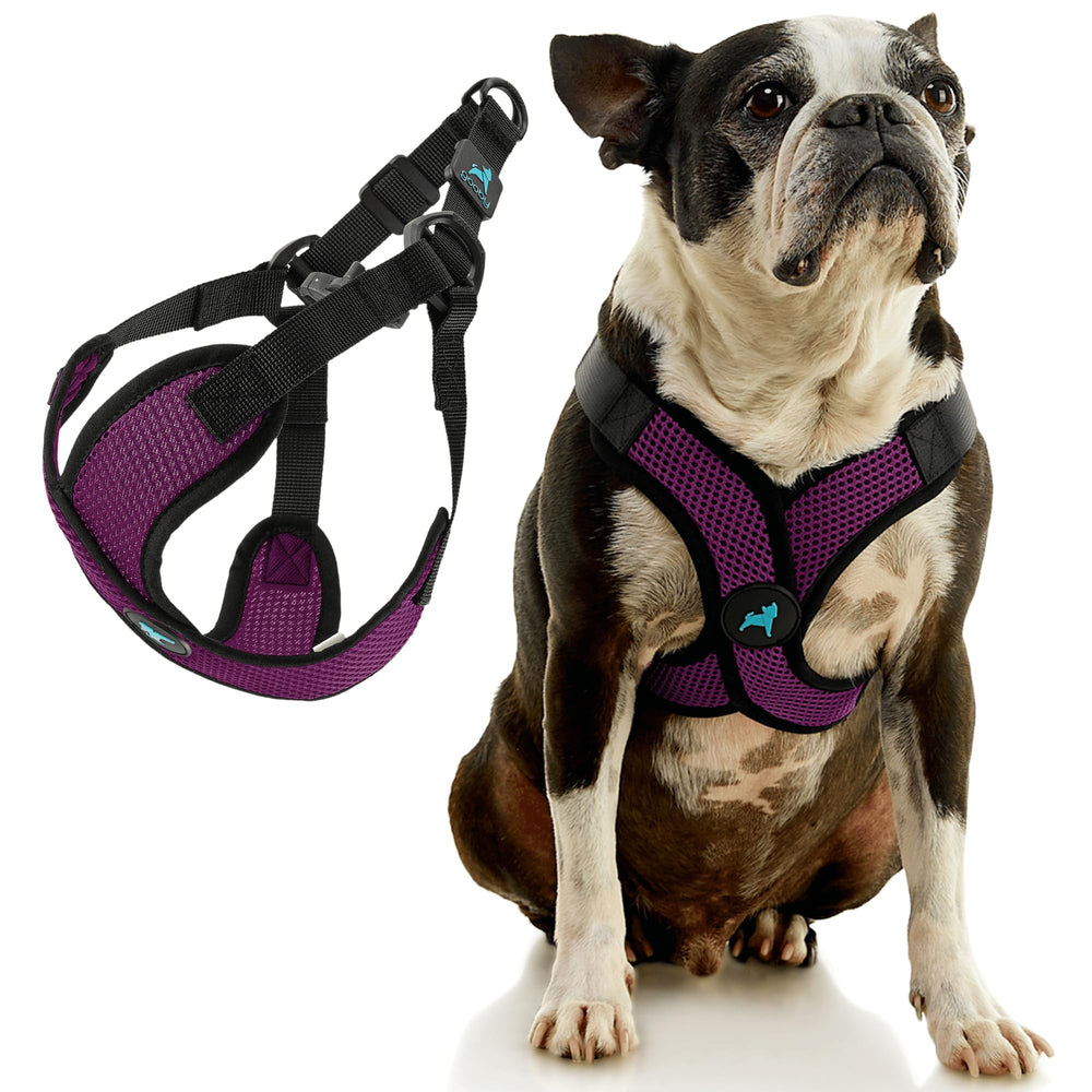 Gooby Comfort X Step in Lite Harness purple medium, D-ring close-up, sturdy leash attachment in use.