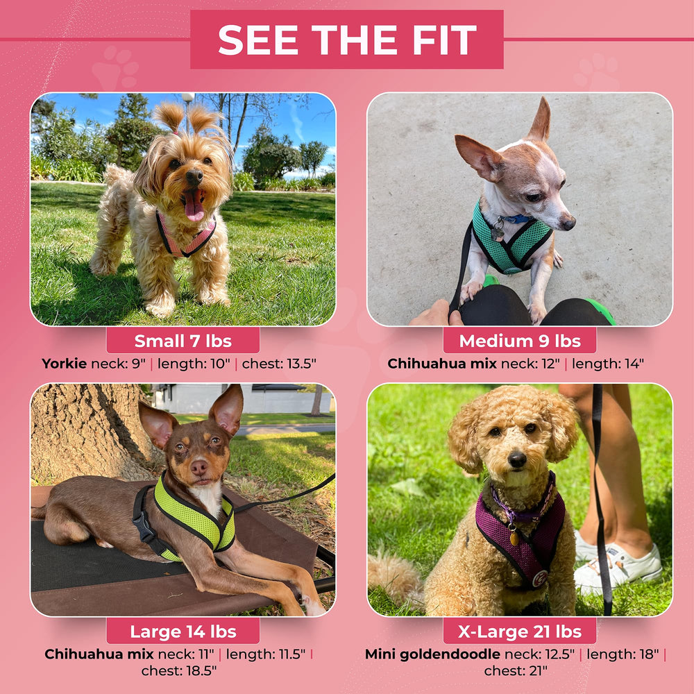 Gooby D-ring leash attachment on red harness, secure daily walks.