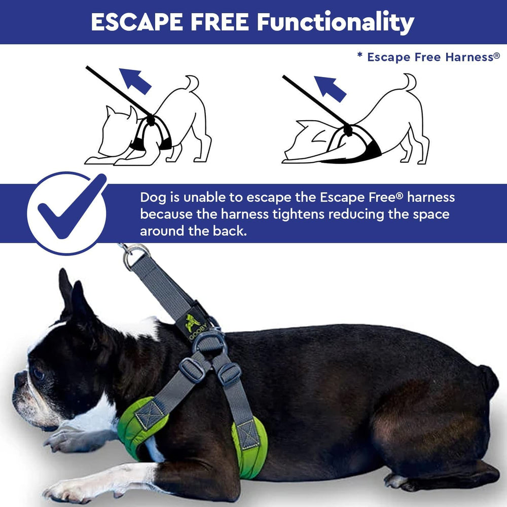 Gooby Escape Free Easy Fit Harness blue durable fabric close-up for quality