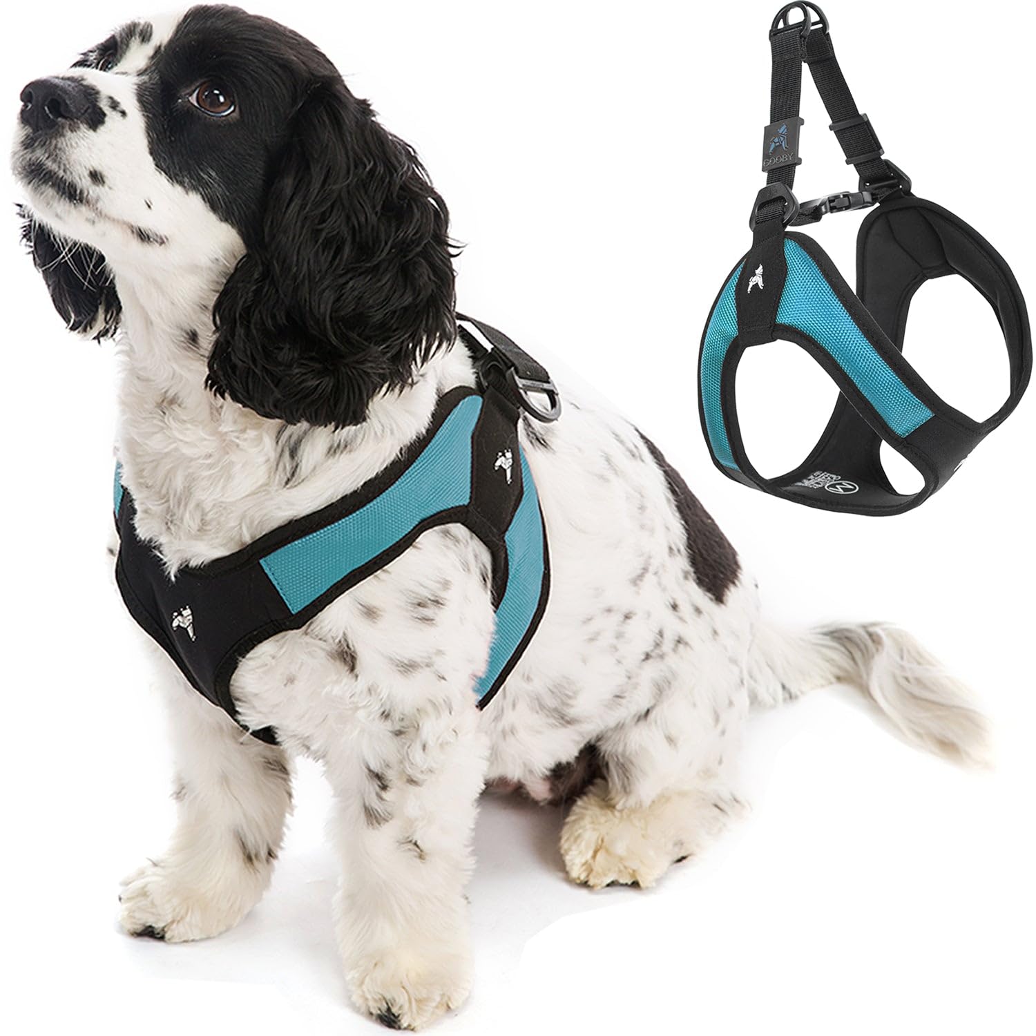 Gooby escape-free easy fit harness turquoise on a small dog