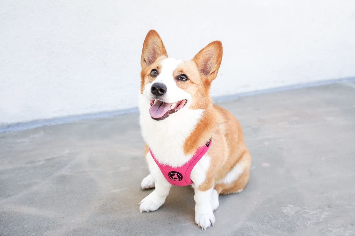 Gooby Escape Free Sport Harness pink size chart aids fit selection.