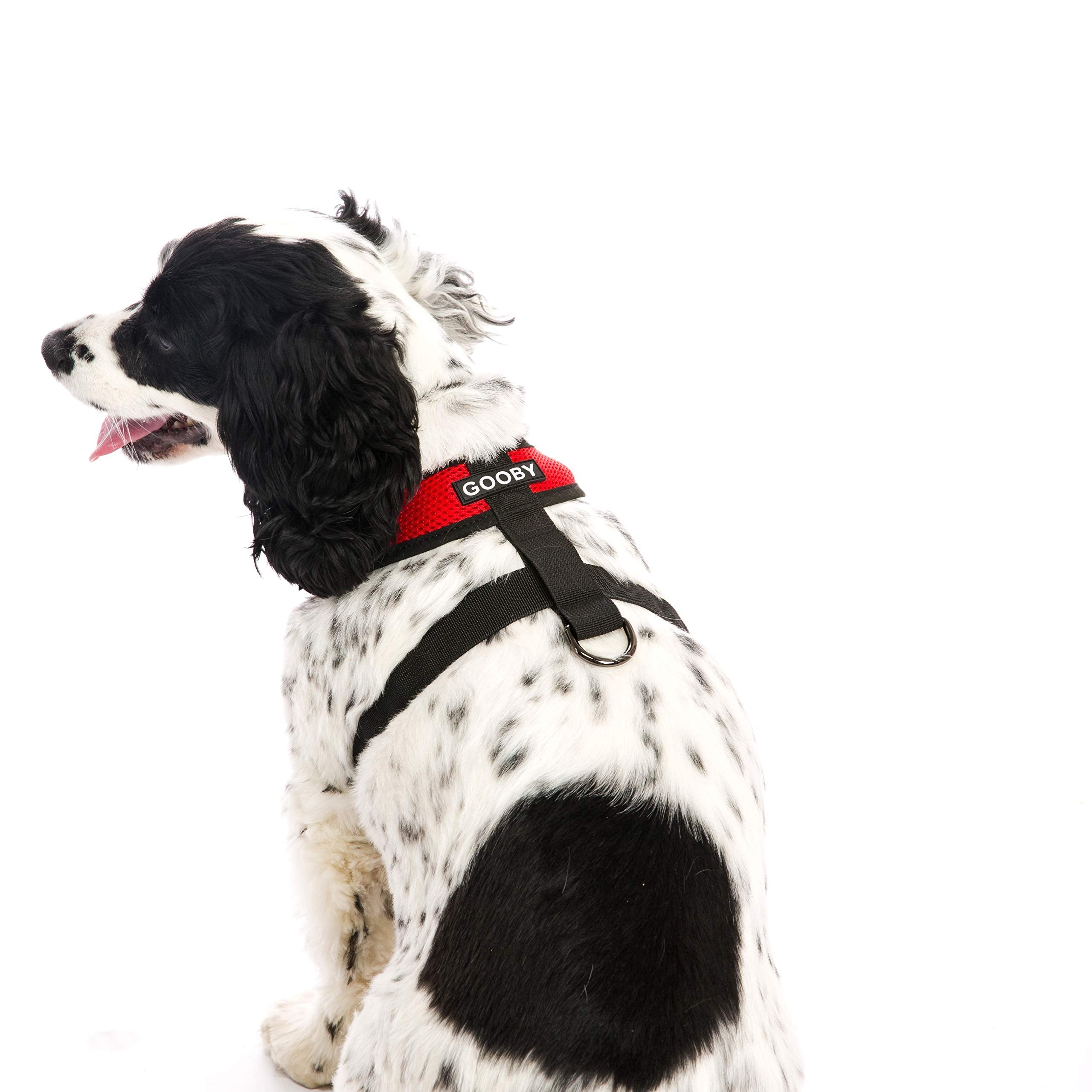 Gooby Machine-washable red harness for easy cleanup after outdoor adventures.