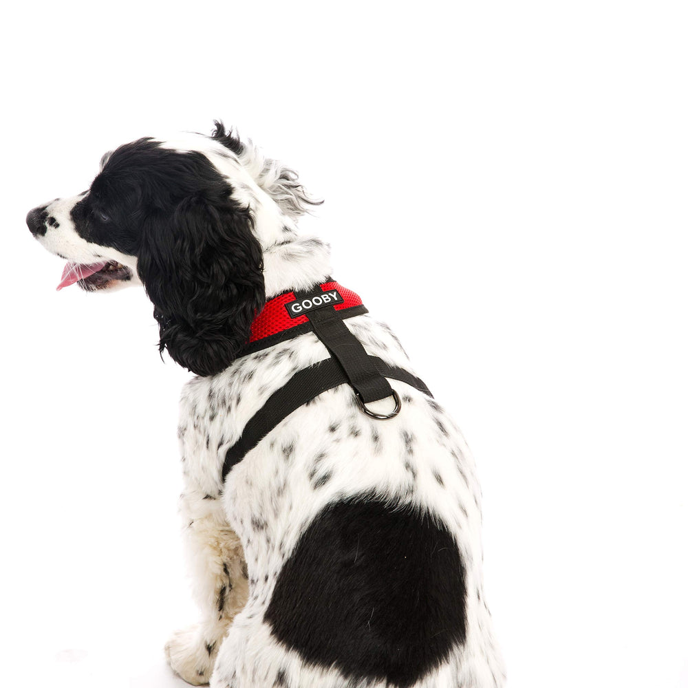 Gooby Machine-washable red harness for easy cleanup after outdoor adventures.