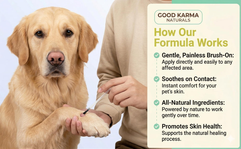 Before and after results show wart reduction with GOOD KARMA NATURALS.