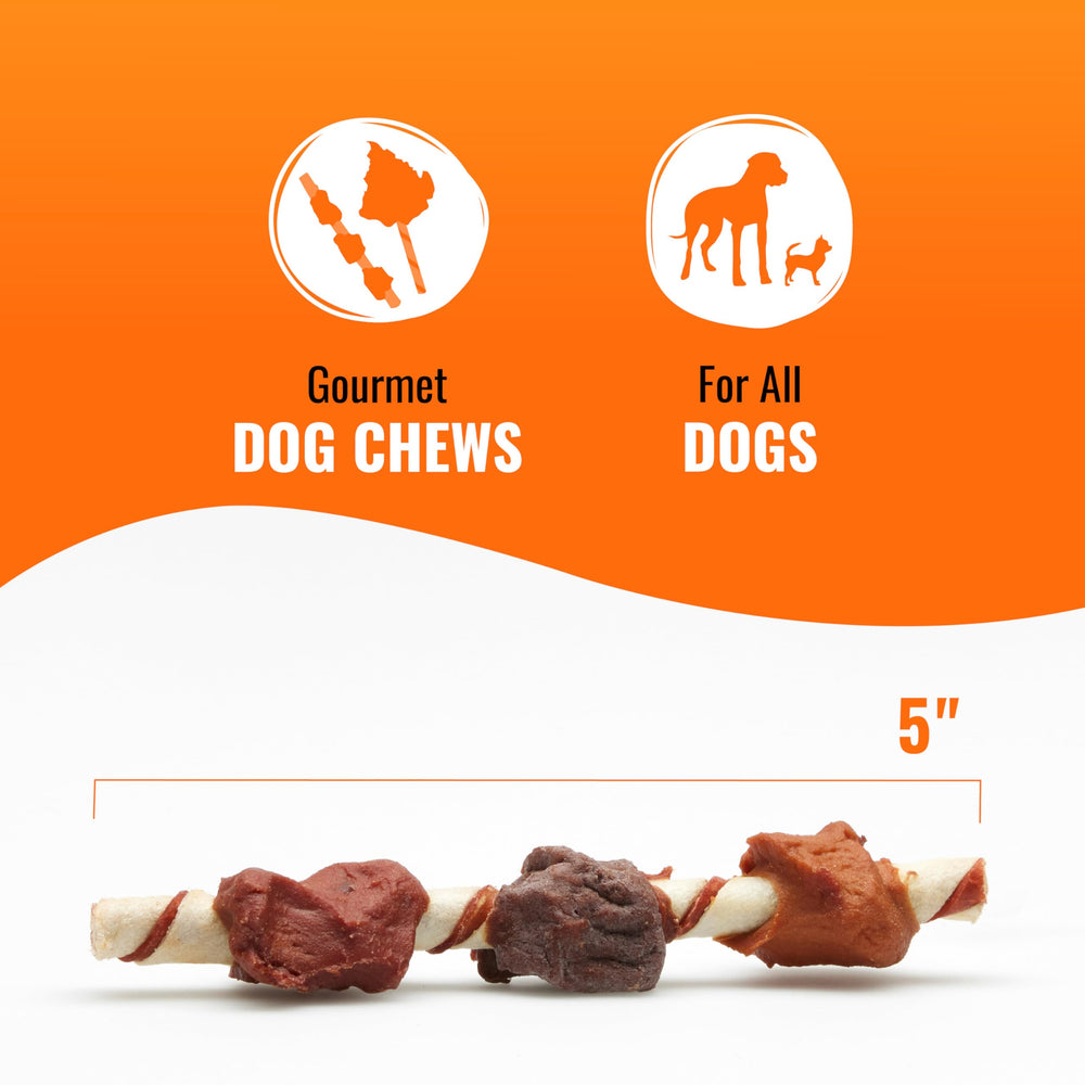 Dog enjoying a long-lasting chew from GOOD 'N' FUN triple flavored kabobs.