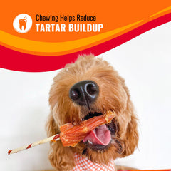 Kabob-shaped chew wrapped with chicken and duck for dogs.