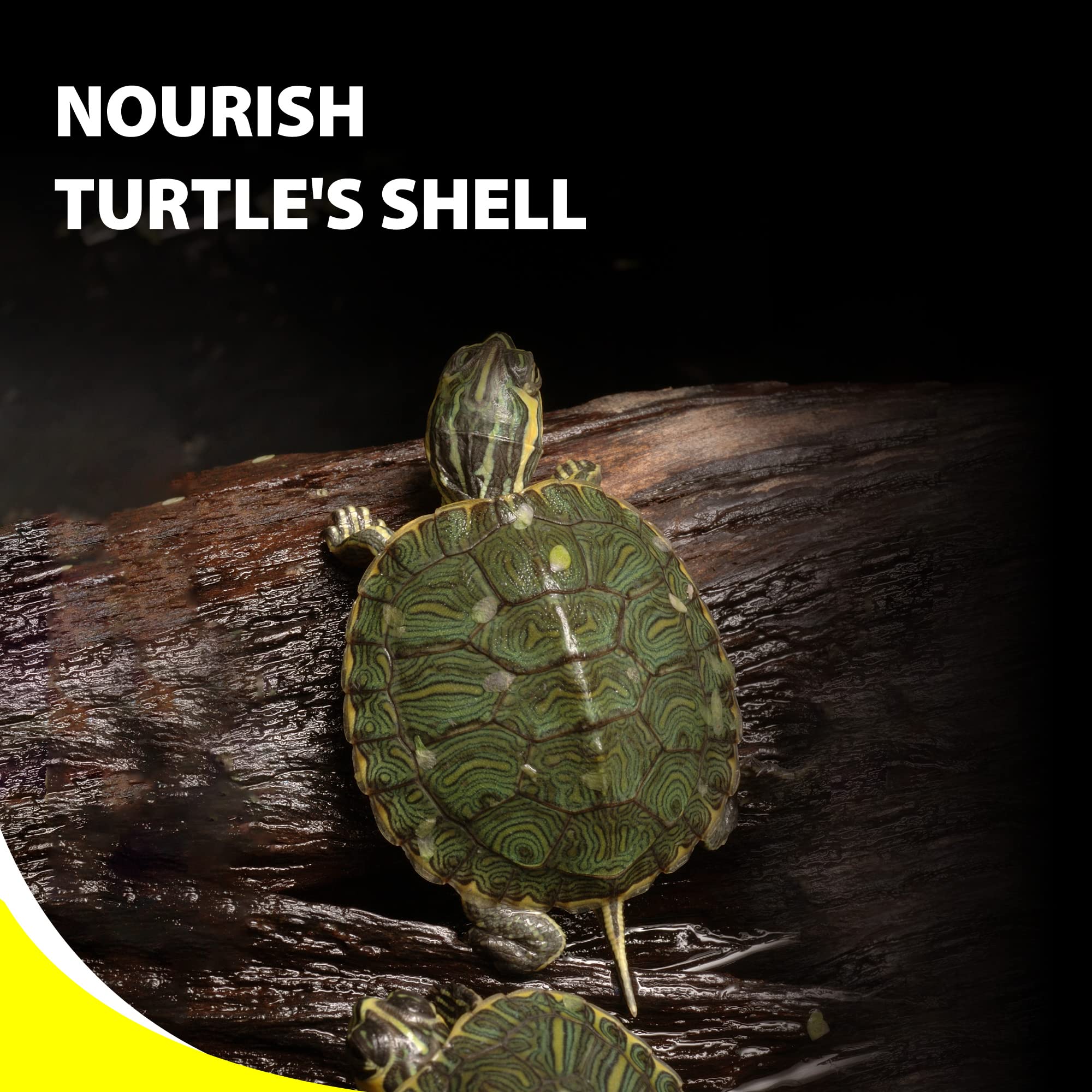 GOOD PARTNER Purify Floating Sticks supporting shell growth and mineral balance.