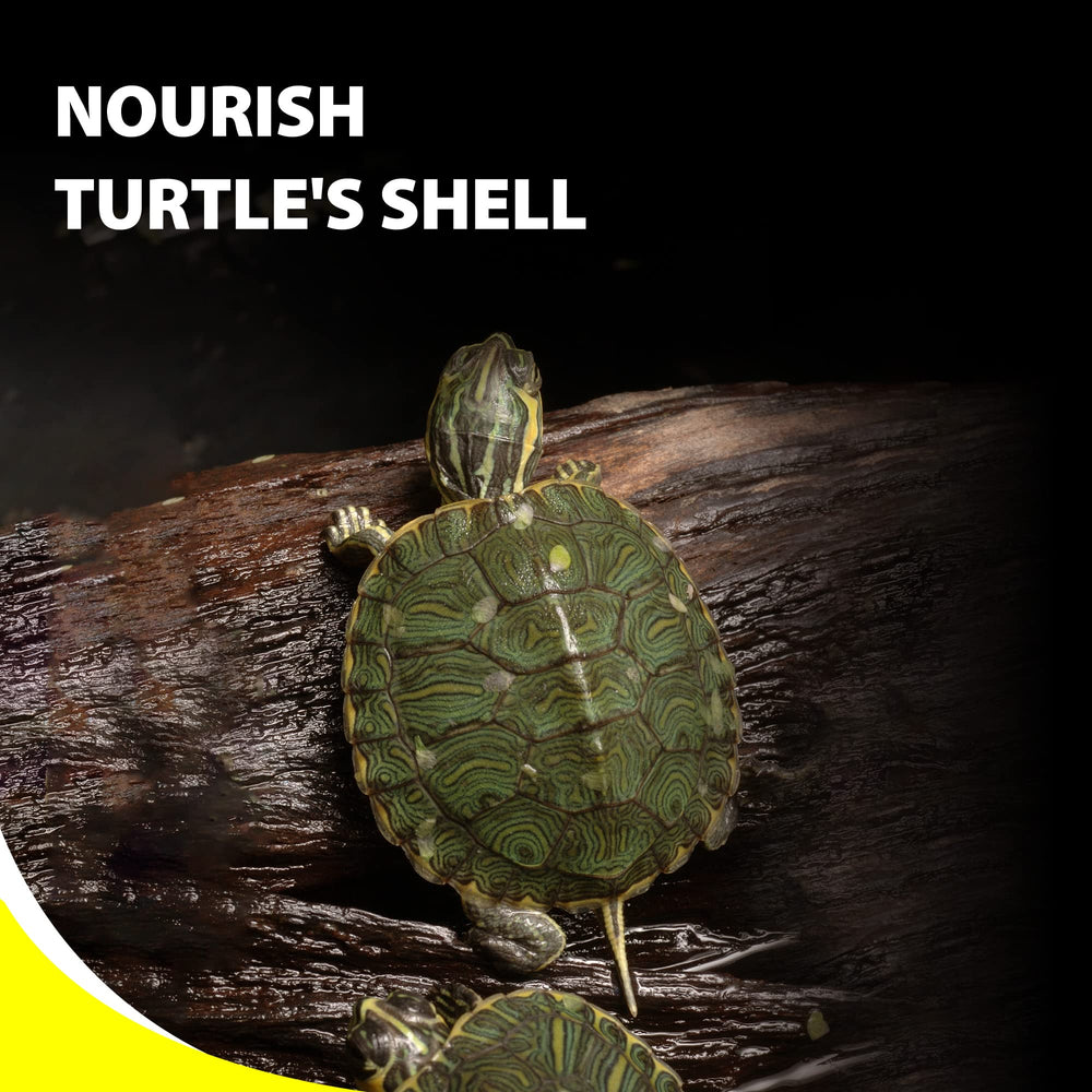 GOOD PARTNER Purify Floating Sticks supporting shell growth and mineral balance.