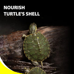 GOOD PARTNER Purify Floating Sticks supporting shell growth and mineral balance.