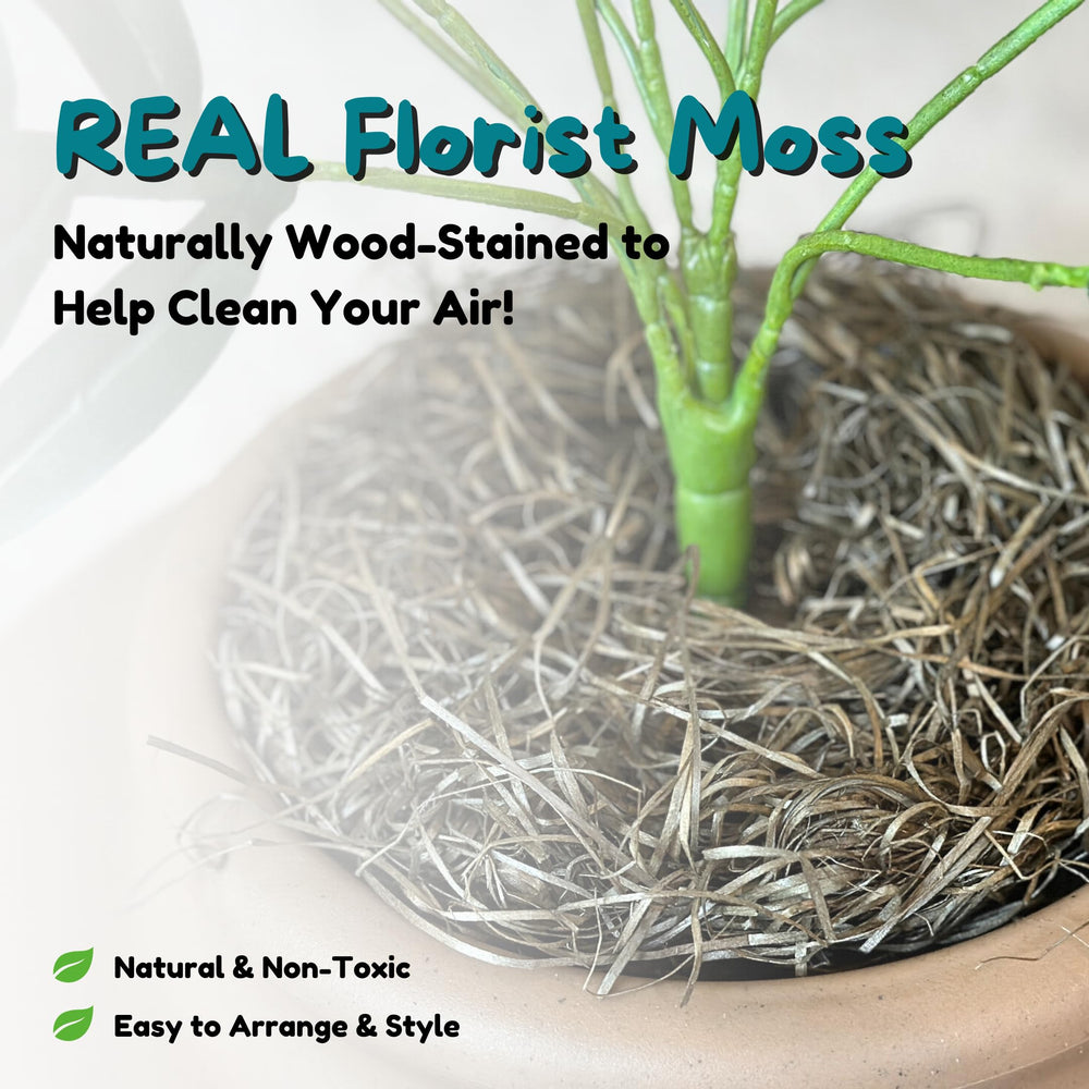 As seen on major outlets for hidden litter box inspiration