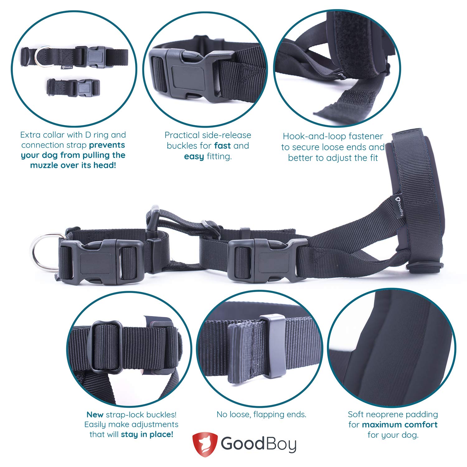Connection strap image illustrates extra restraint for anxious dogs during acclimation.