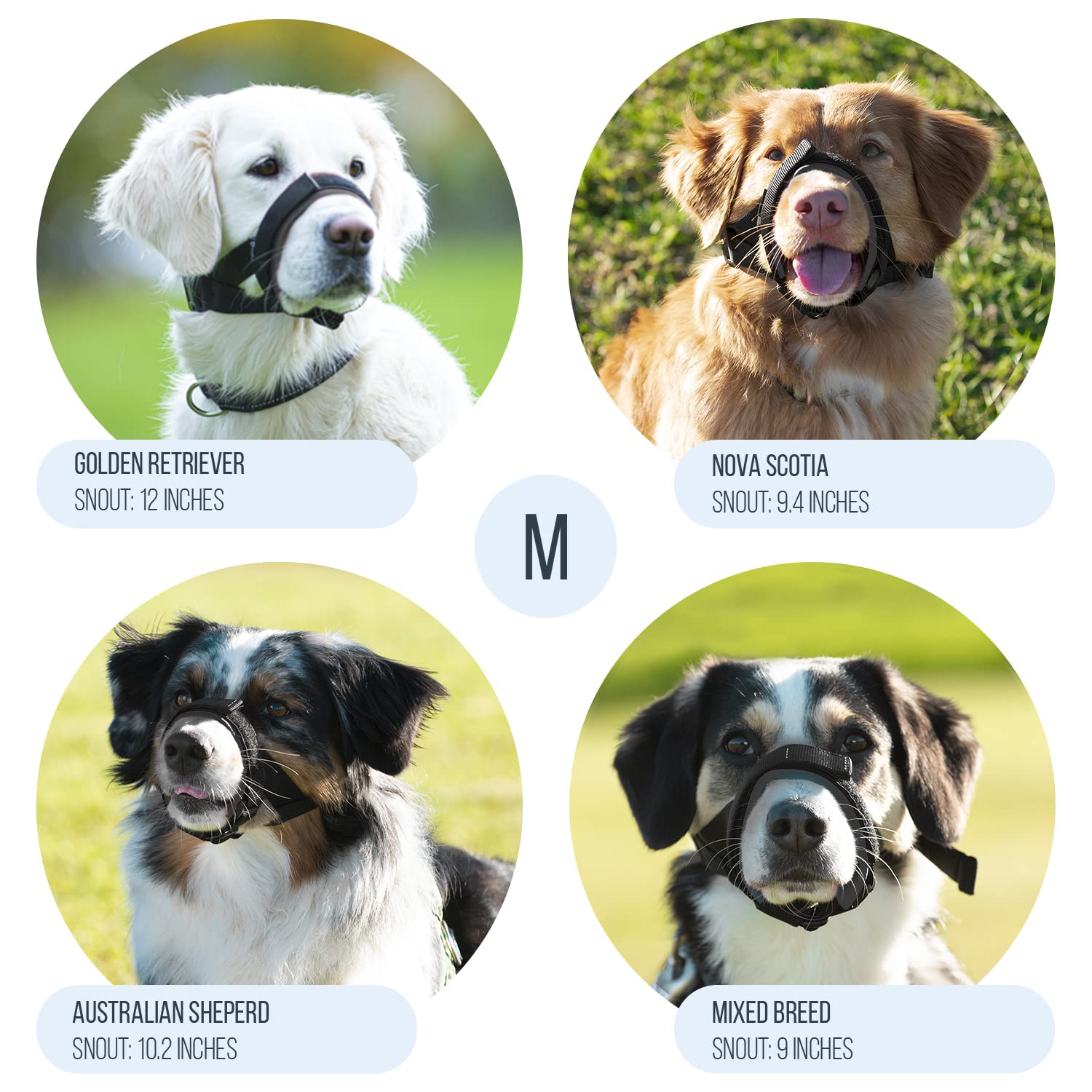 Measurement guide image demonstrates easy sizing for accurate muzzle fit with GoodBoy.
