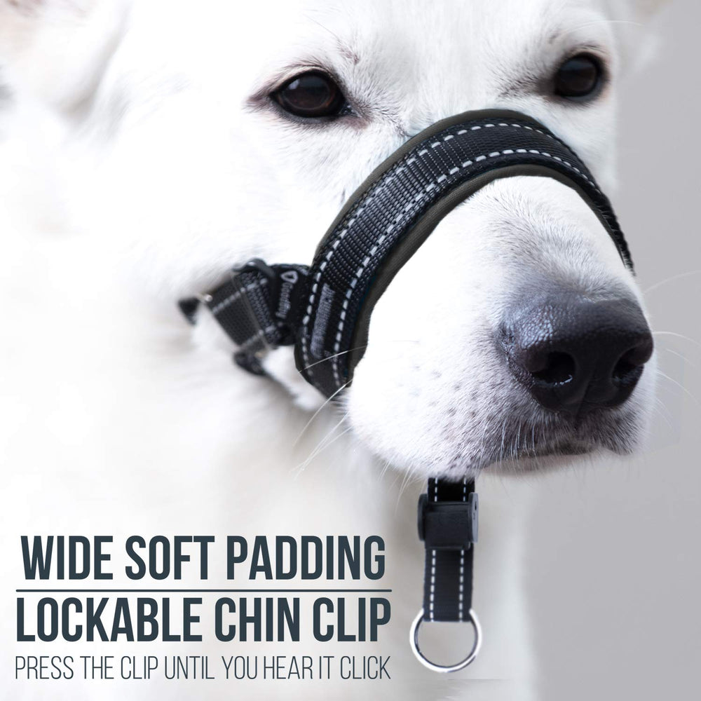 GoodBoy head halter adjustable buckles provide secure fit during active walks.