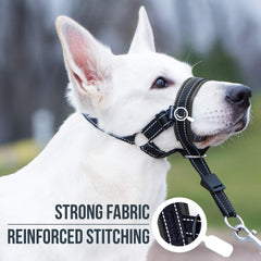 GoodBoy head halter nose loop and under-chin clip for easy, secure sizing.