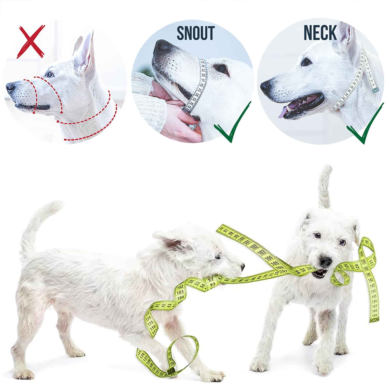 GoodBoy head halter size chart and measurement guidance for proper fit.