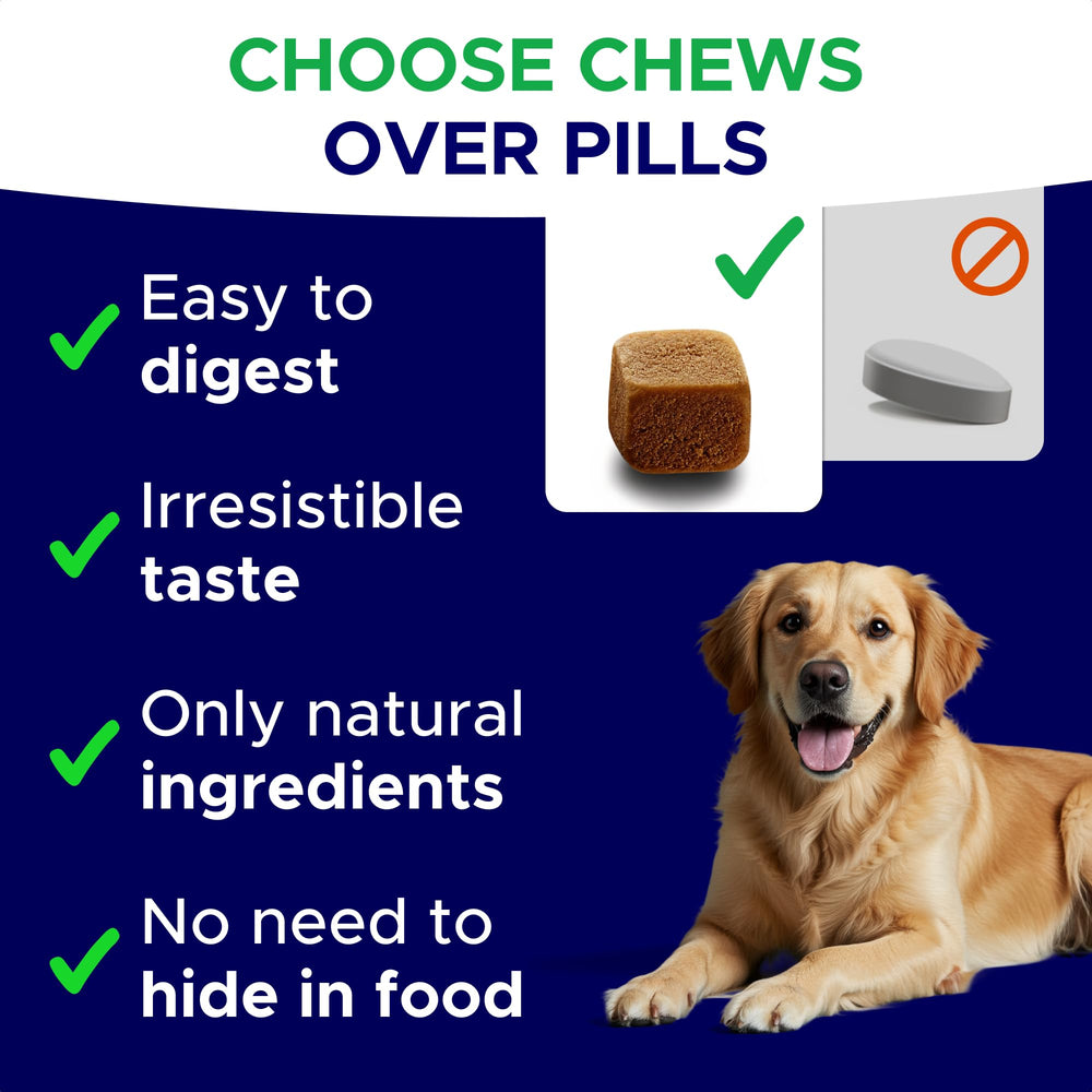 GOODGROWLIES dog relaxed on couch indicating calming support