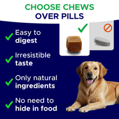 GOODGROWLIES dog relaxed on couch indicating calming support