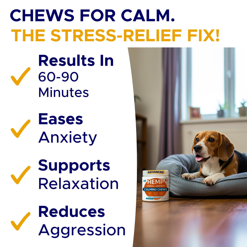 GOODGROWLIES dog treats on a sofa illustrating long-term stress support
