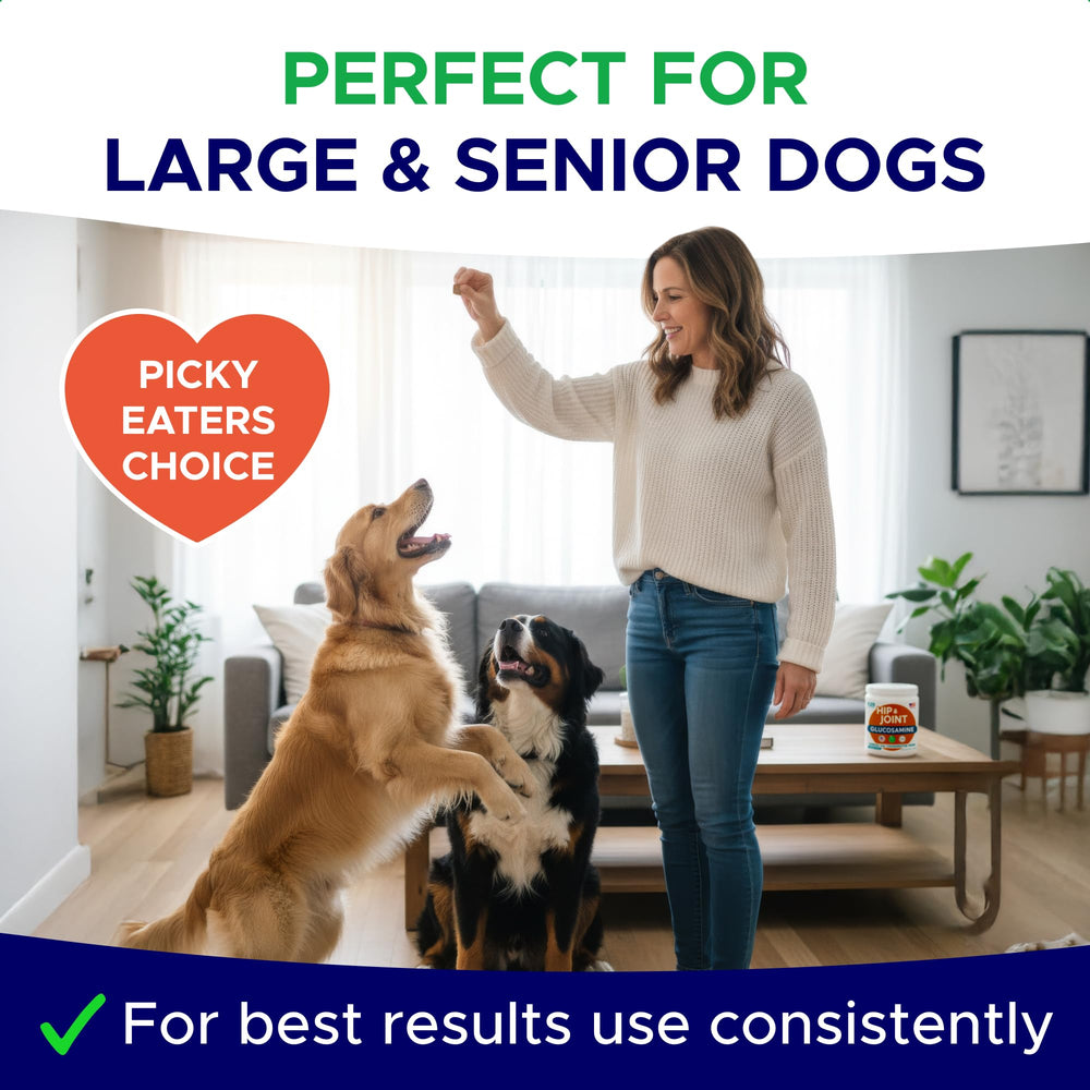 GoodGrowlies glucosamine dog chews suitable for senior dogs.
