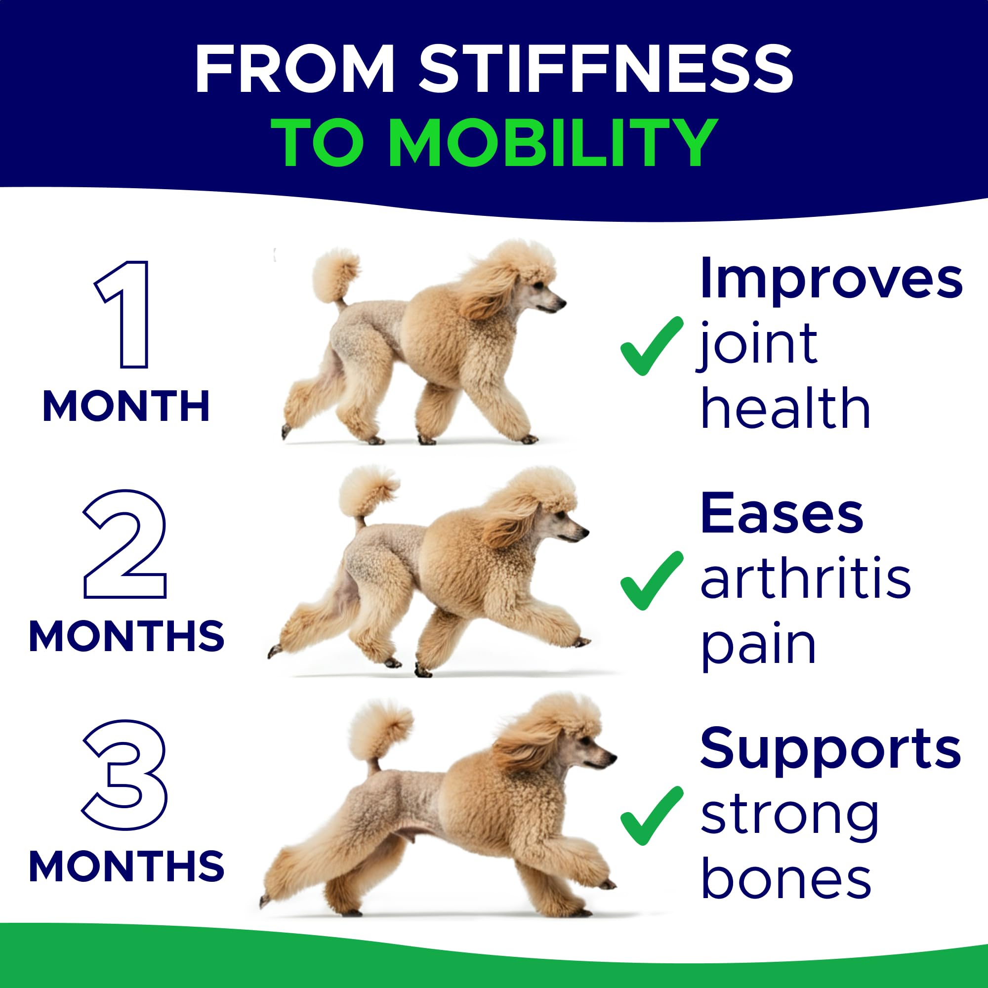 GoodGrowlies glucosamine dog chews served in a dish for daily use.