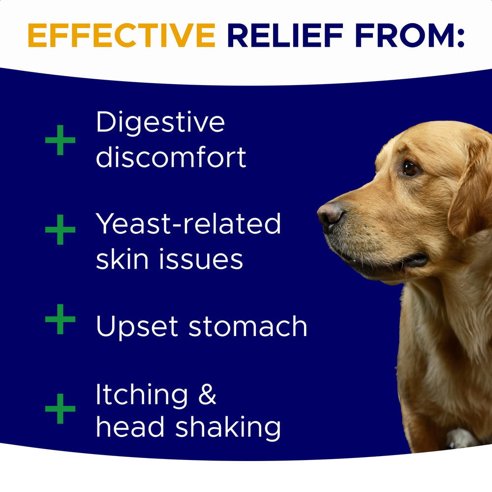 GOODGROWLIES probiotic chews shown as tasty treats for picky eaters and all dogs