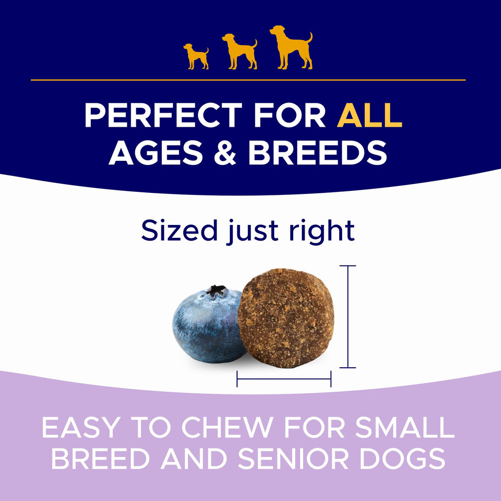 GOODGROWLIES dog probiotics on shelf image suggests daily gut health routine