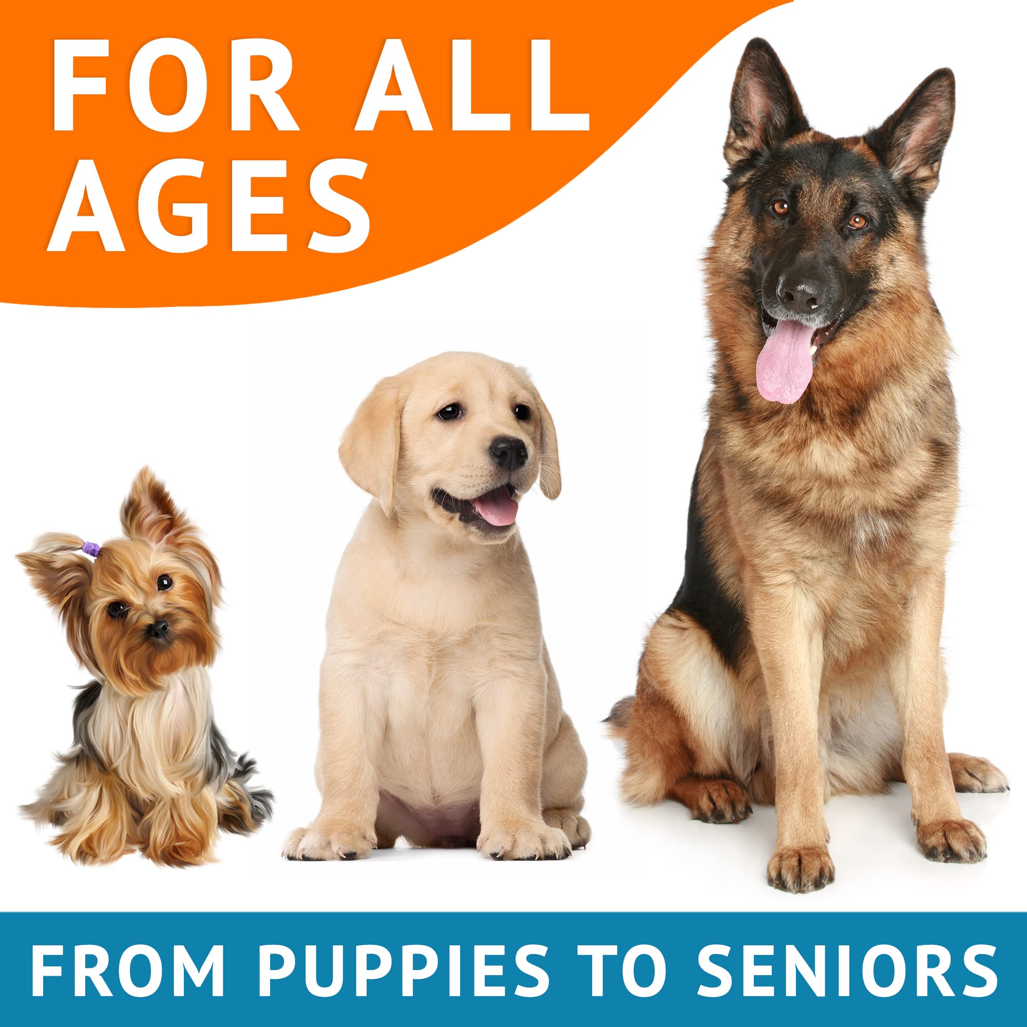GOODGROWLIES Salmon-oil dog chews pack suggests healthy coat potential.