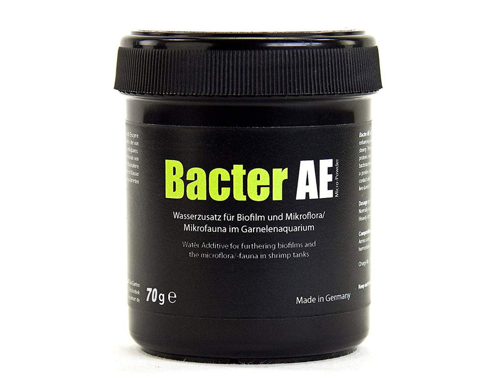 Breeding setup with Bacter AE may improve survival of newborn shrimp