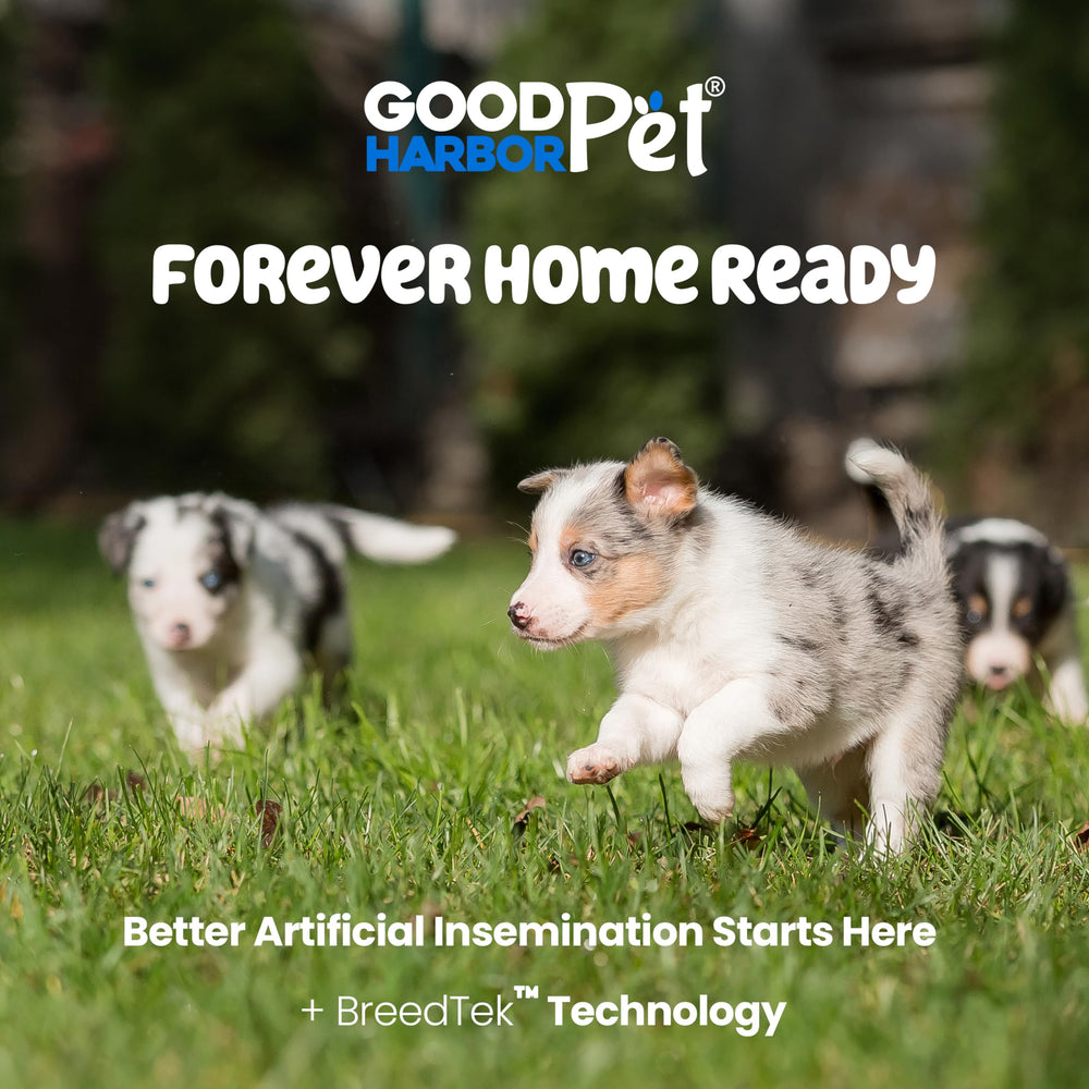 Good|Harbor Canine AI kit packaging showcases USA-made quality and readiness.