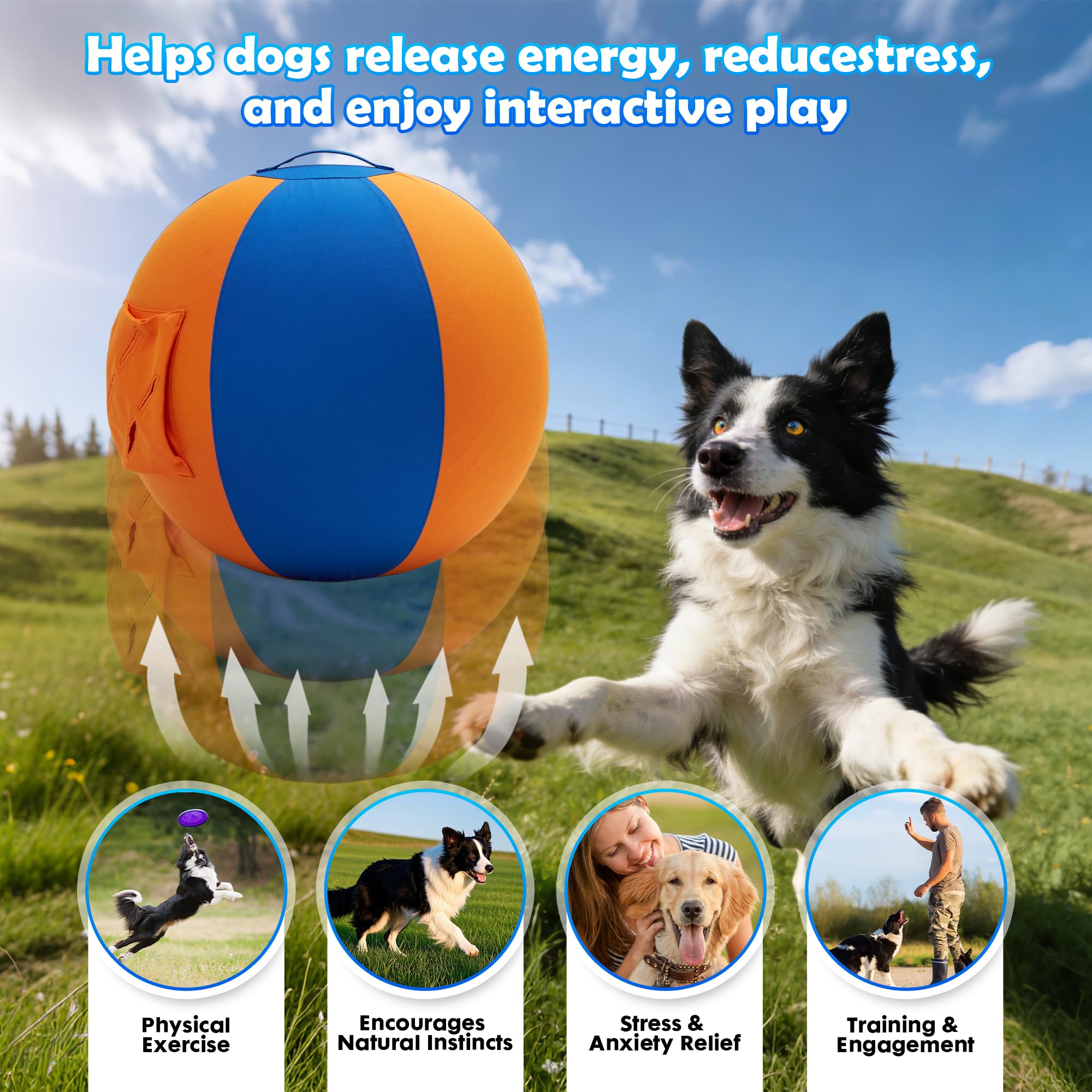 Goodleben Herding Ball reinforced carry handle for easy transport.