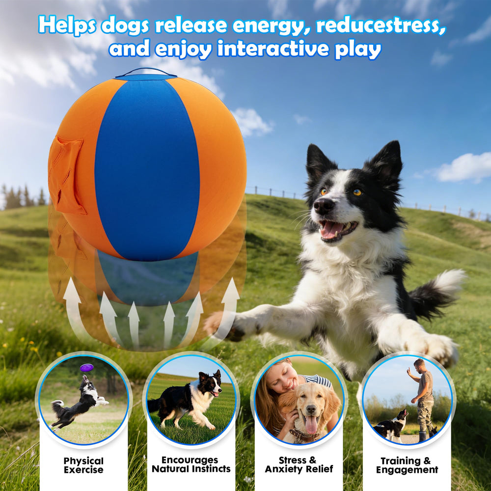Goodleben Herding Ball reinforced carry handle for easy transport.