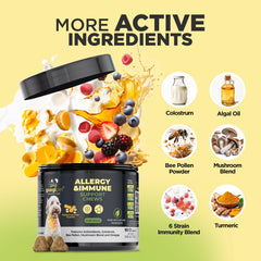 Googipet Dog Allergy Chews packaging shot for easy daily dosing.