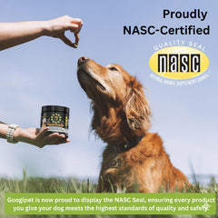 Googipet joint support glucosamine chew emphasizes mobility for active dogs