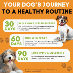 Googipet canine probiotics chew delivering 1 billion CFU per serving