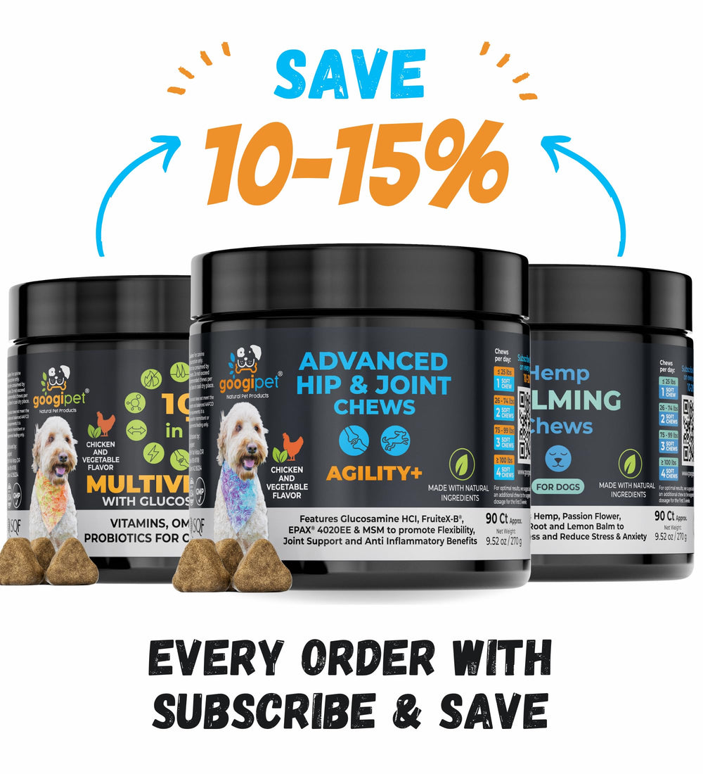 Googipet Premium chews daily dosing scene for routine supplementation
