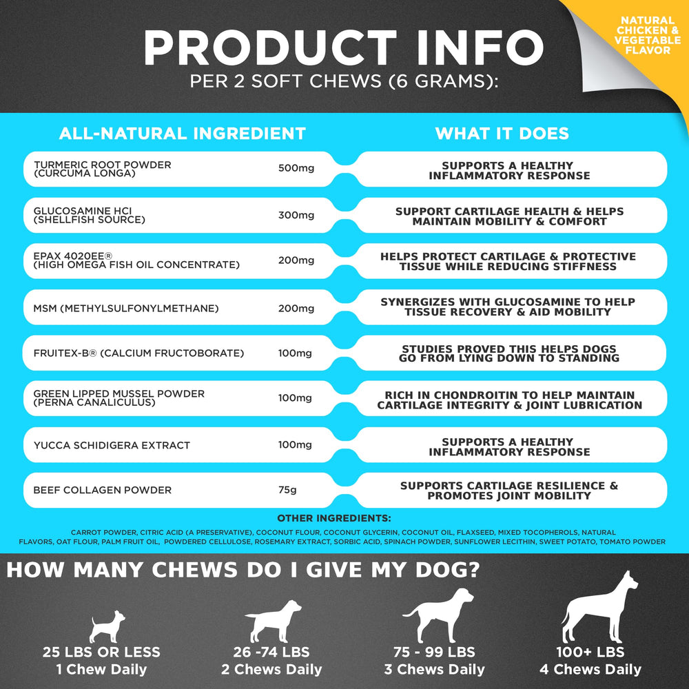 Googipet Premium chews on a dog mobility scene used daily