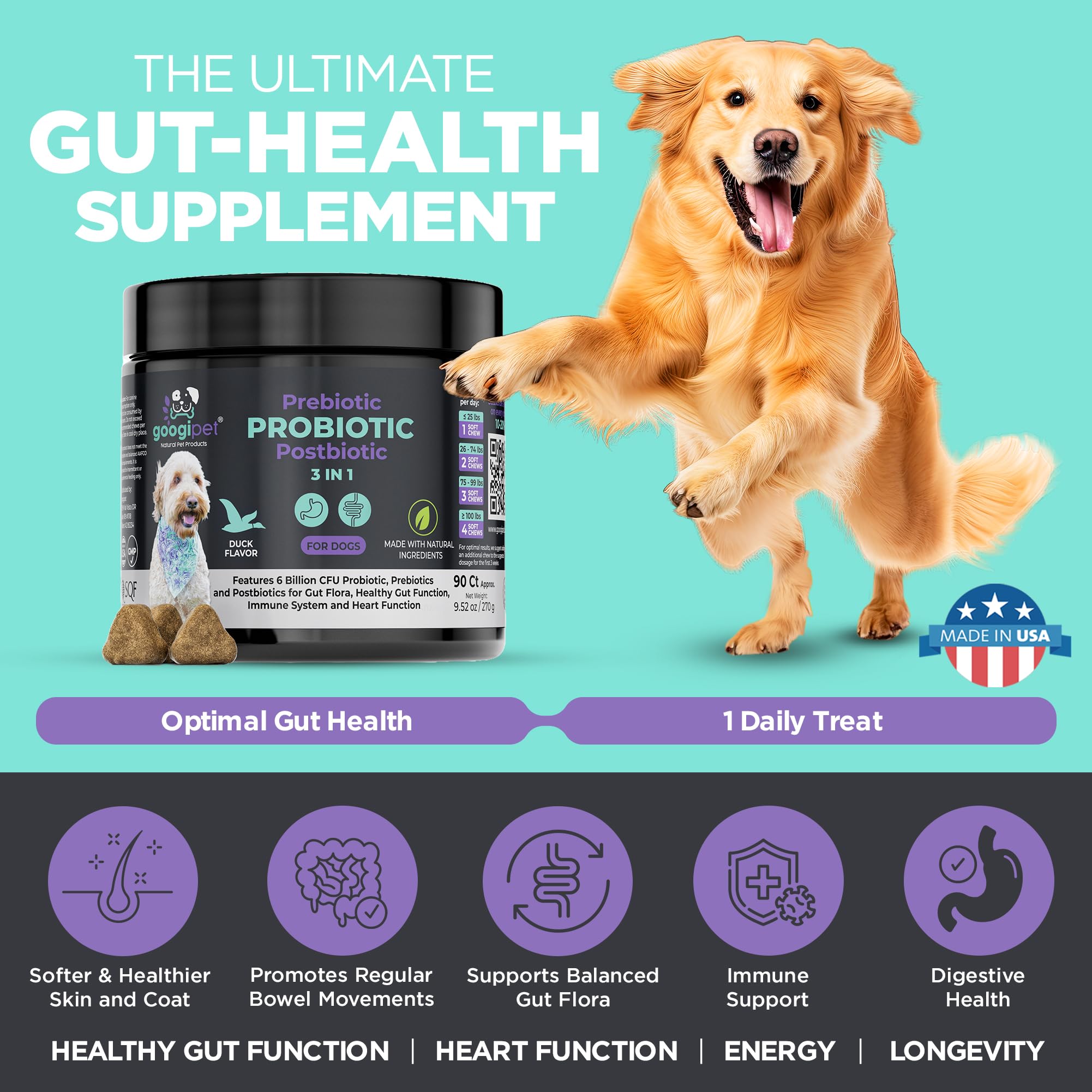 Googipet Probiotics digestive-enzymes aid meals and nutrient breakdown
