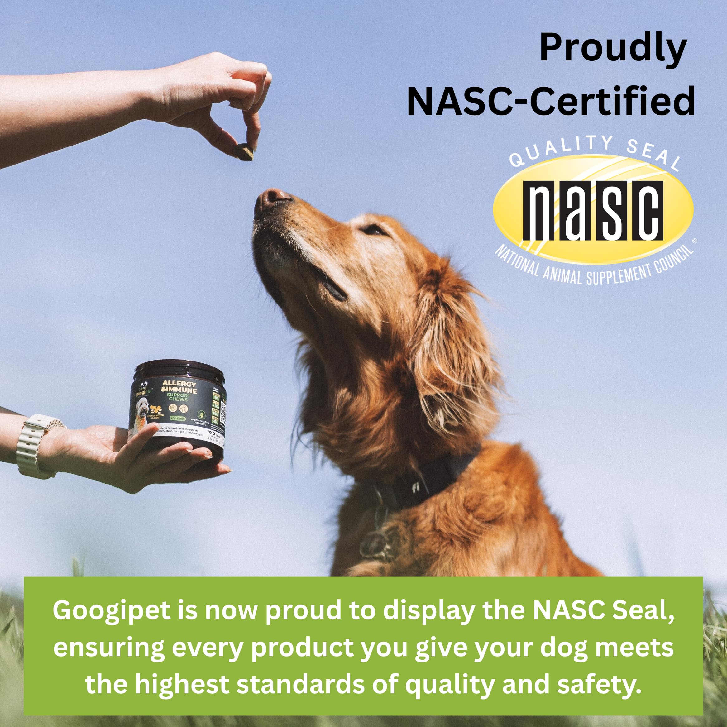 Googipet Probiotics yeast-itch-relief chew targets skin and ear comfort