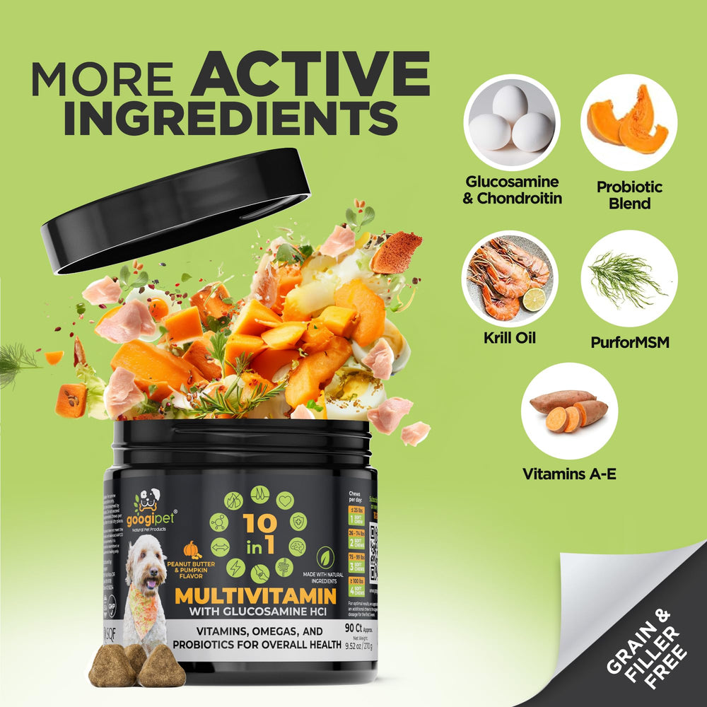 Googipet peanut butter pumpkin flavor chew tastes like treats