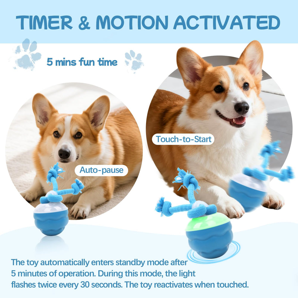 Goosheep dog toy with light-up feature enhances nighttime or low-light play.