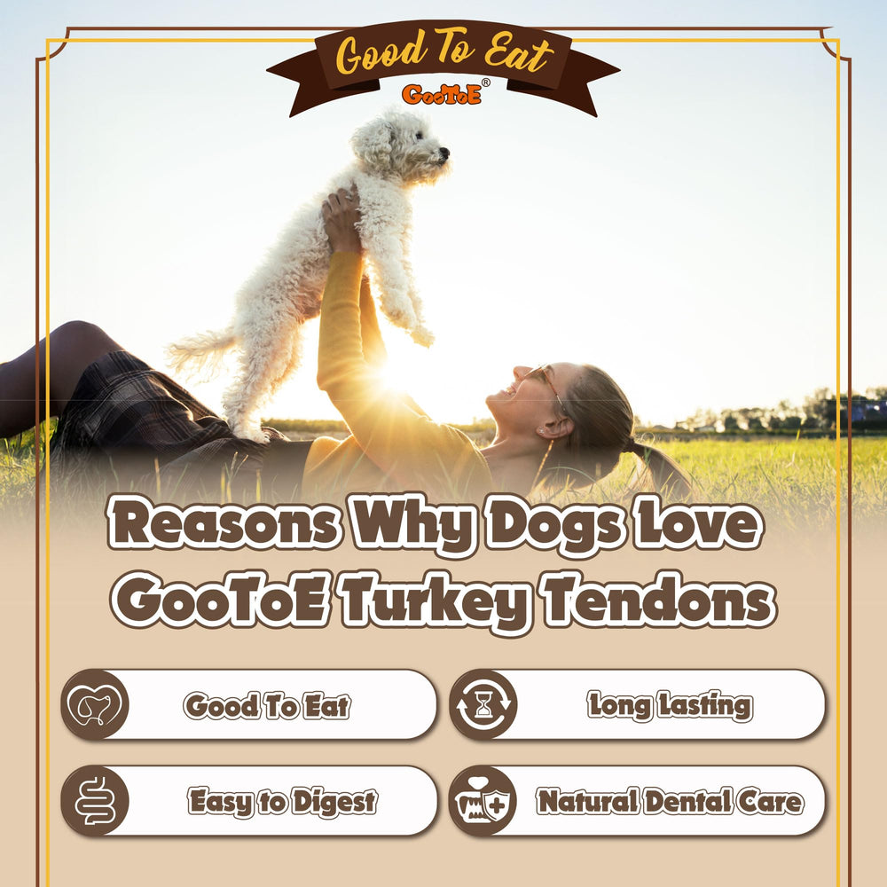 Gootoe turkey tendon USA-sourced ingredients, premium protein option.