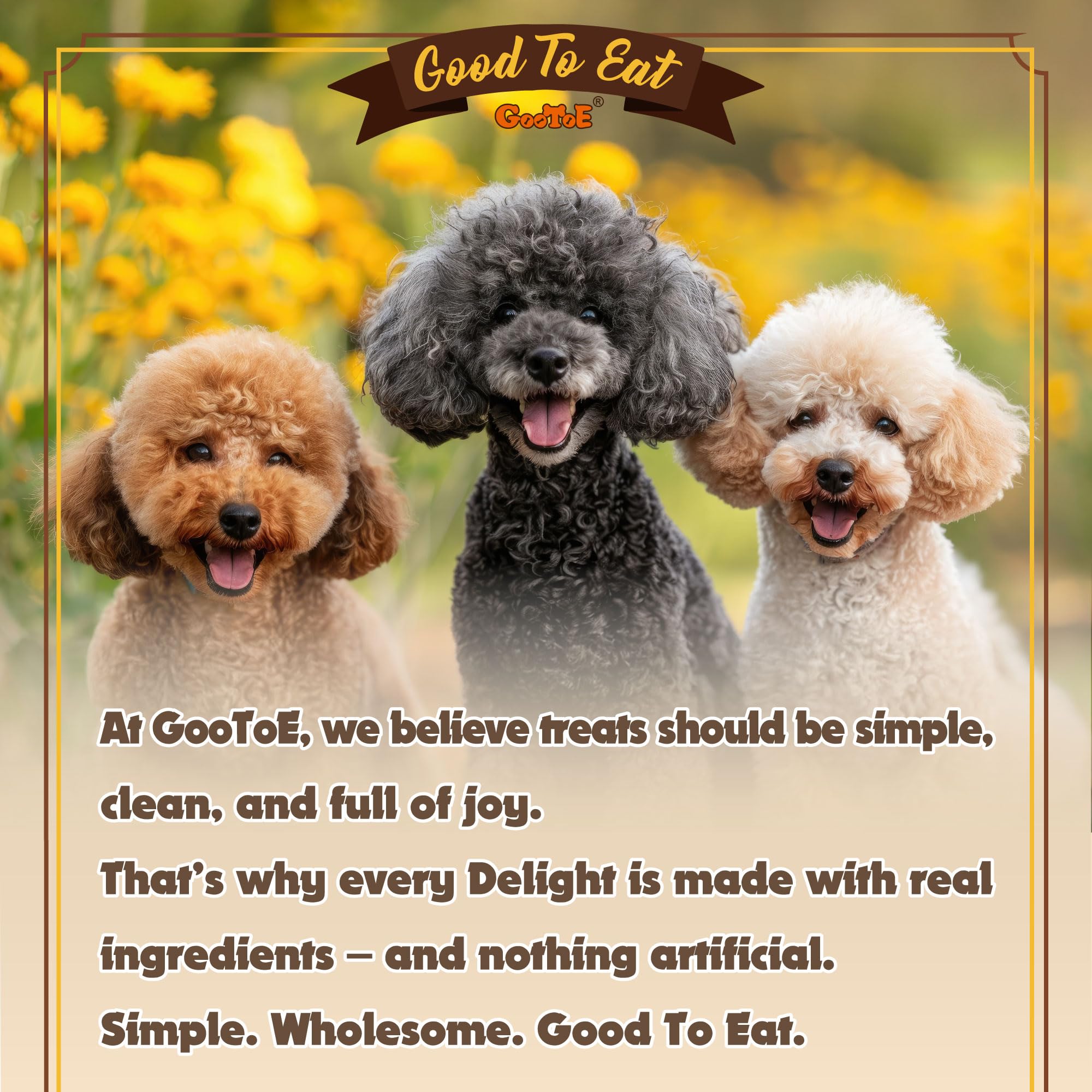 Gootoe dog treats arranged with bowls emphasizing dental health potential.