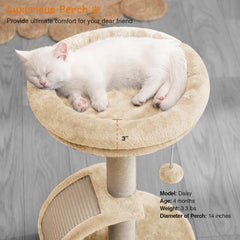 Goozii cat tower round perch offers a cozy lookout for cats.
