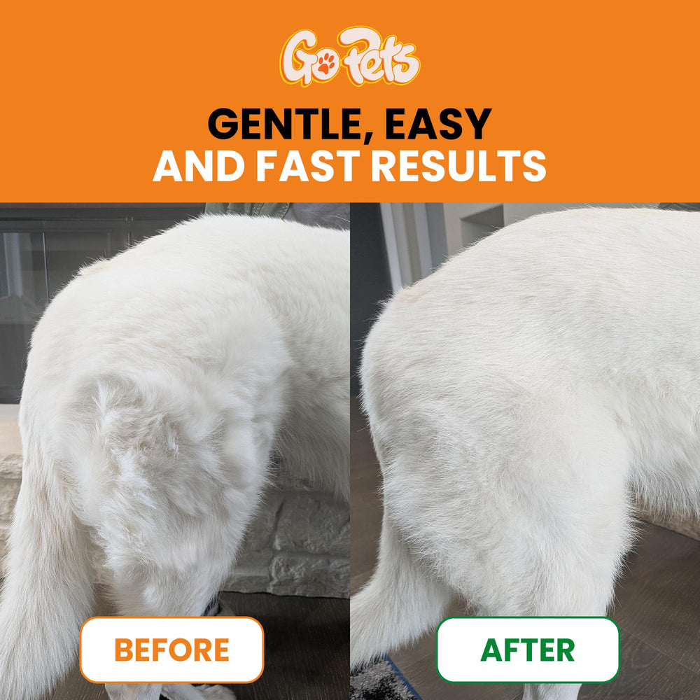 GoPets deshedding undercoat tool reduces loose fur on dogs.