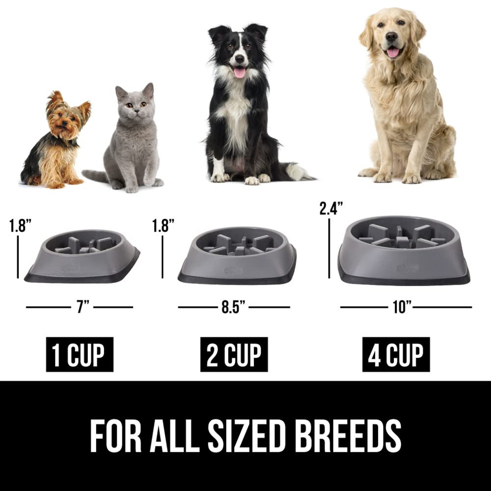 GORILLA GRIP bowl designed for dogs and cats during busy mealtimes.
