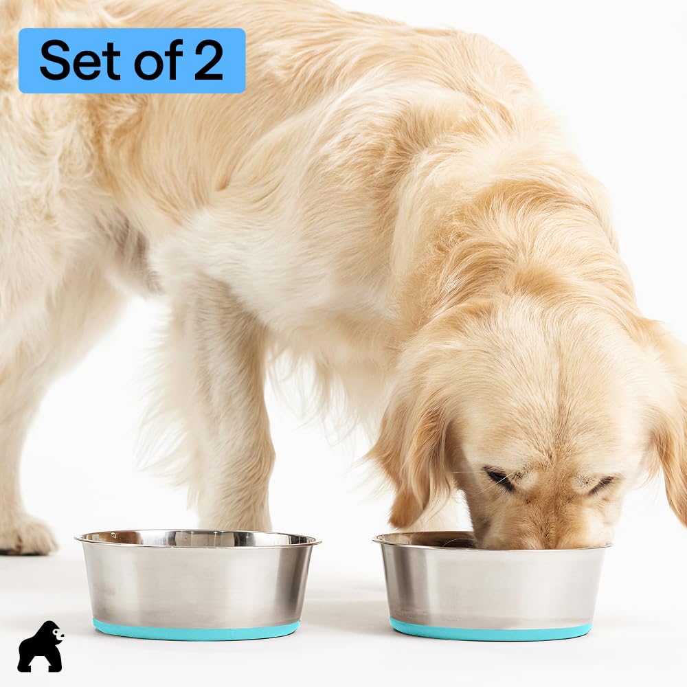 GORILLA GRIP turquoise bowls add a pop of color to mealtimes.
