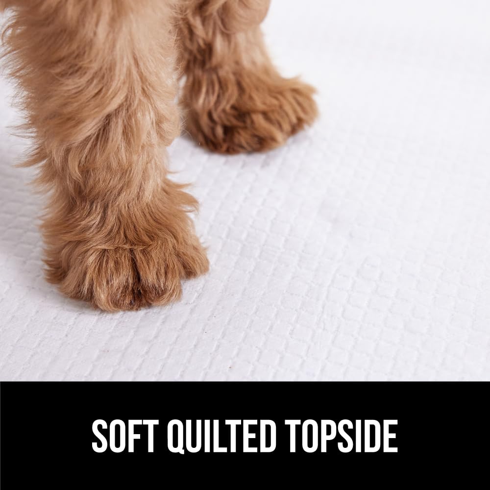 Gorilla Guard quick-dry action promoting faster cleanup after pet accidents